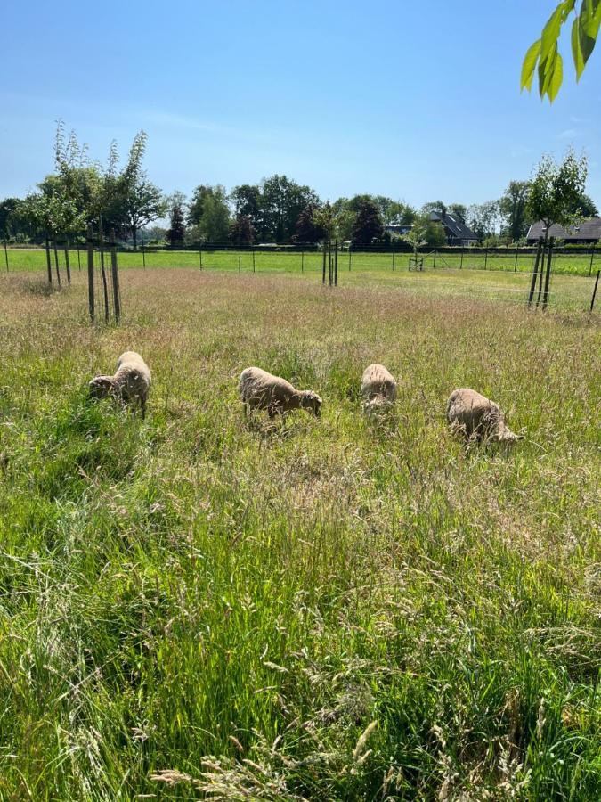 Gastenverblijf Weijdeblik Sinderen Exterior foto